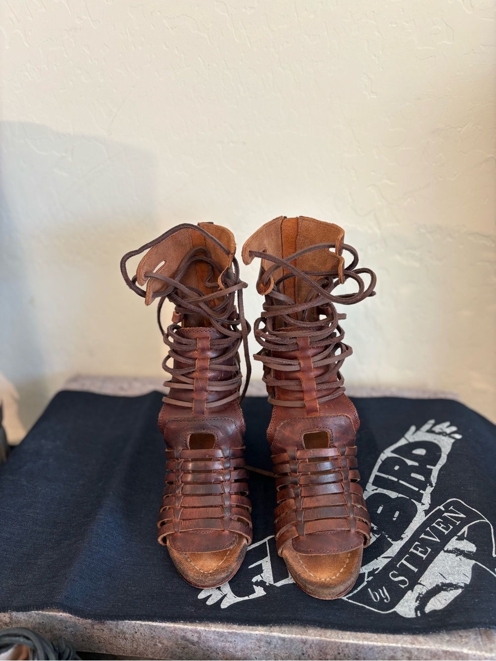 Freebird by Steven Tess 6